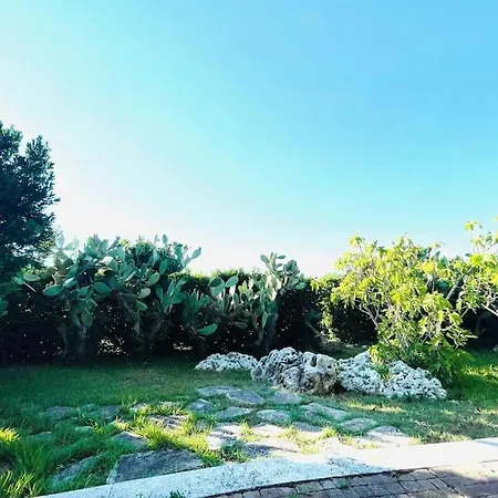 Amapola Corigliano dʼOtranto