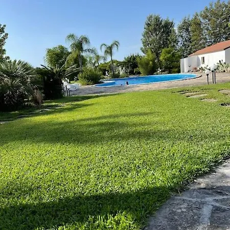 Amapola